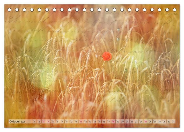 Produktbild: Vintage Nature - Romantische Naturaufnahmen (Tischkalender 2026 DIN A5 quer), CALVENDO Monatskalender