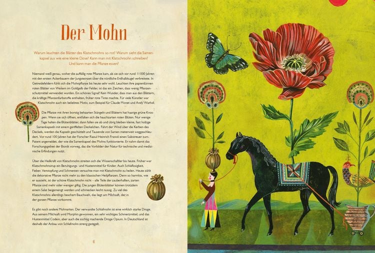 Produktbild: Olaf Hajeks Buch der Blumen