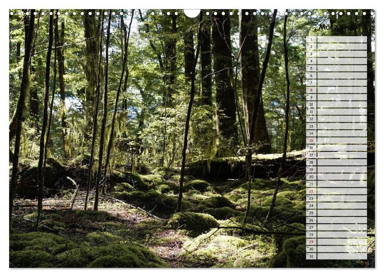 Produktbild: Kia ora, Aotearoa - Wunderbares Neuseeland (Wandkalender 2026 DIN A3 quer), CALVENDO Monatskalender