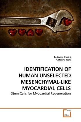 Produktbild: Quaini, F: Identification Of Human Unselected Mesenchymal-Li