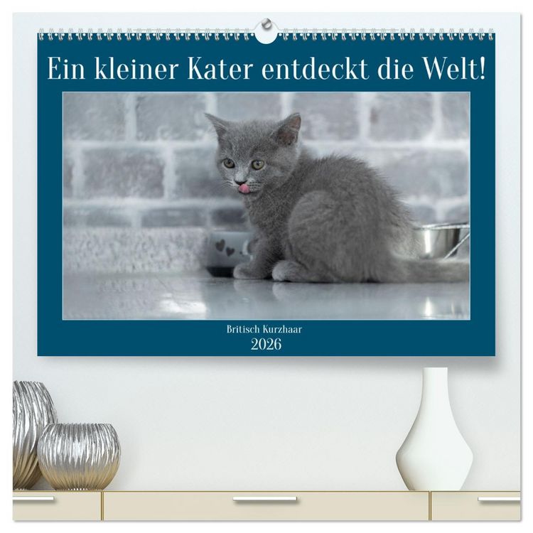 Produktbild: Ein kleiner Kater entdeckt die Welt! (hochwertiger Premium Wandkalender 2026 DIN A2 quer), Kunstdruck in Hochglanz
