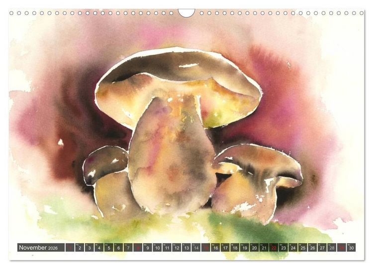 Produktbild: Pilze in Aquarell (Wandkalender 2026 DIN A3 quer), CALVENDO Monatskalender