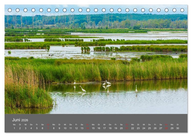 Produktbild: Sch&ouml;nes Meck-Pomm (Tischkalender 2026 DIN A5 quer), CALVENDO Monatskalender