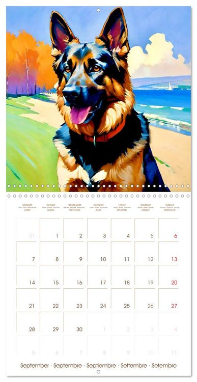 Produktbild: German Shepherd. The majestic character of a noble breed (Wall Calendar 2026 12 &times; 12 Inch) CALVENDO 12 Month Wall Calendar