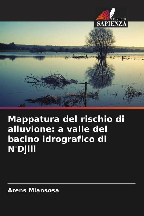 Produktbild: Mappatura del rischio di alluvione: a valle del bacino idrografico di N'Djili