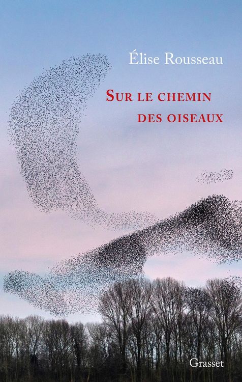 Produktbild: Sur le chemin des oiseaux