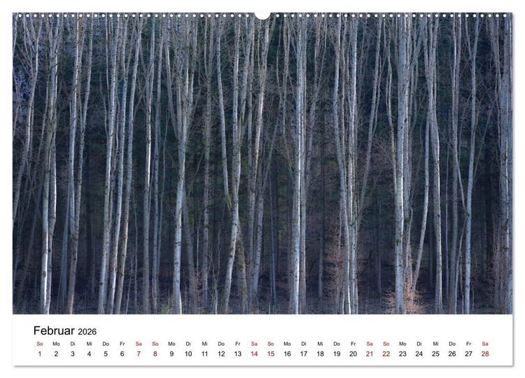 Produktbild: B&auml;ume - Wunder der Natur (hochwertiger Premium Wandkalender 2026 DIN A2 quer), Kunstdruck in Hochglanz