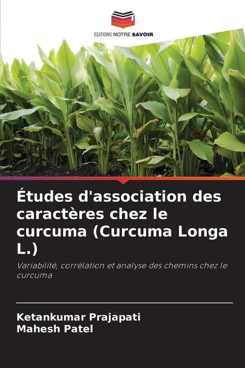 Produktbild: &Eacute;tudes d'association des caract&egrave;res chez le curcuma (Curcuma Longa L.)