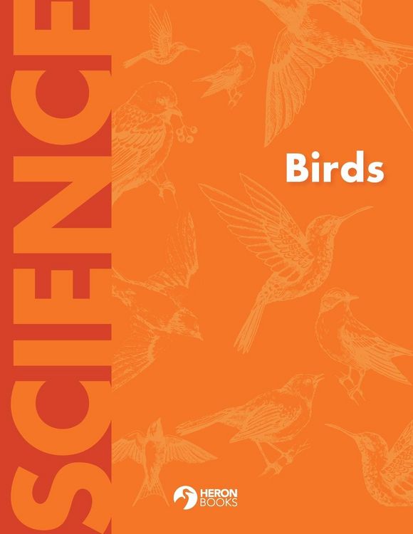 Produktbild: Birds