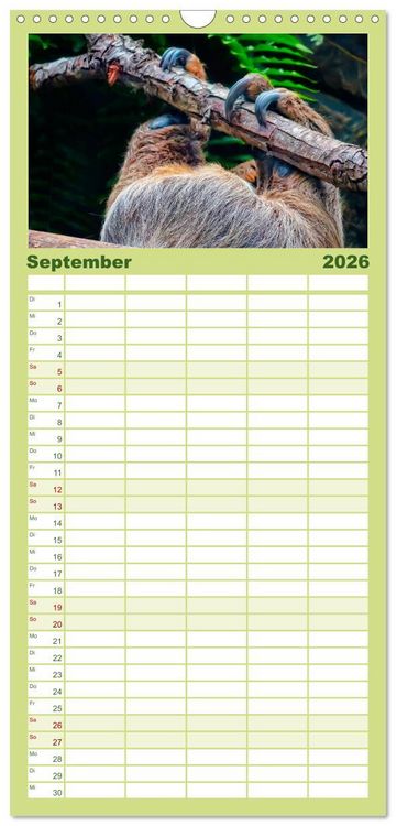 Produktbild: Familienplaner 2026 - Abh&auml;ngen - Faultier mit 5 Spalten (Wandkalender, 21 x 45 cm) CALVENDO