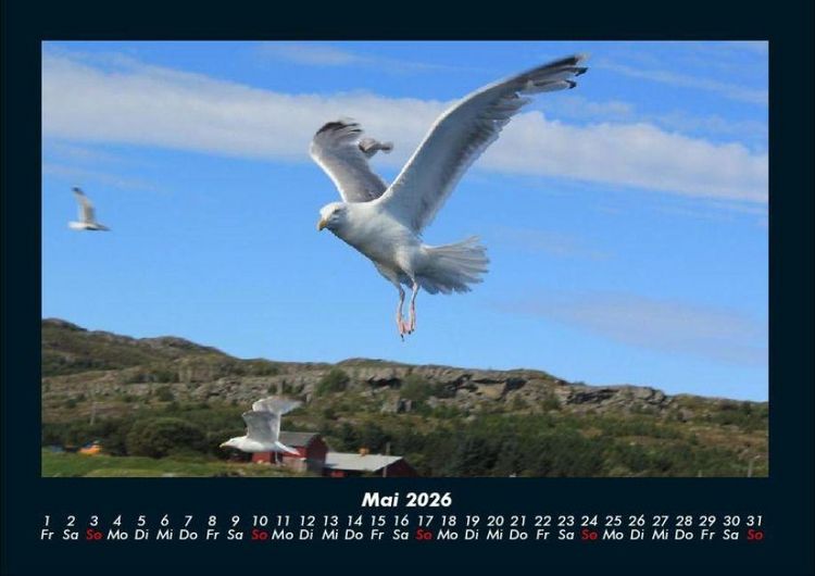 Produktbild: Nordsee 2026 Fotokalender DIN A4