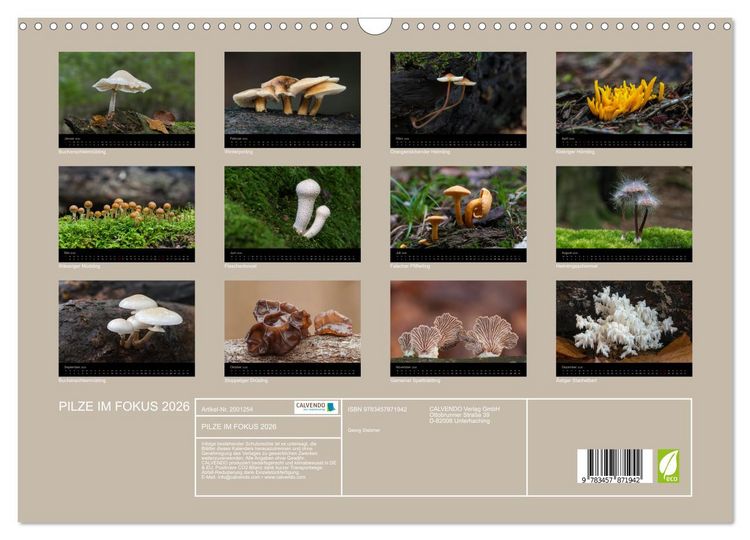 Produktbild: PILZE IM FOKUS 2026 (Wandkalender 2026 DIN A3 quer), CALVENDO Monatskalender