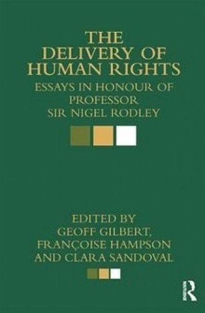 Produktbild: Essays on Human Rights