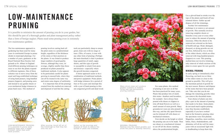 Produktbild: Pruning Simplified