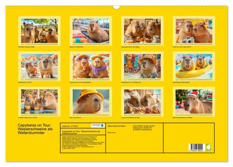 Produktbild: Capybaras on Tour. Wasserschweine als Weltenbummler (Wandkalender 2026 DIN A2 quer), CALVENDO Monatskalender