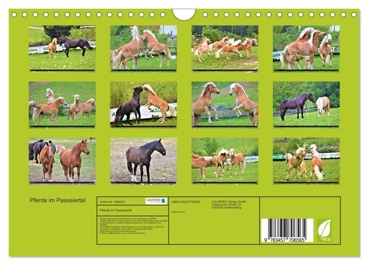 Produktbild: Pferde im Passeiertal (Wandkalender 2026 DIN A4 quer), CALVENDO Monatskalender
