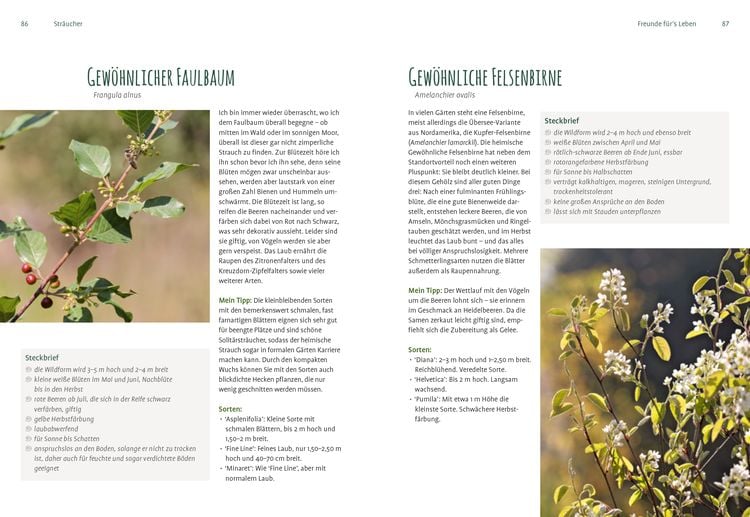 Produktbild: Heimische Pflanzen für den Garten
