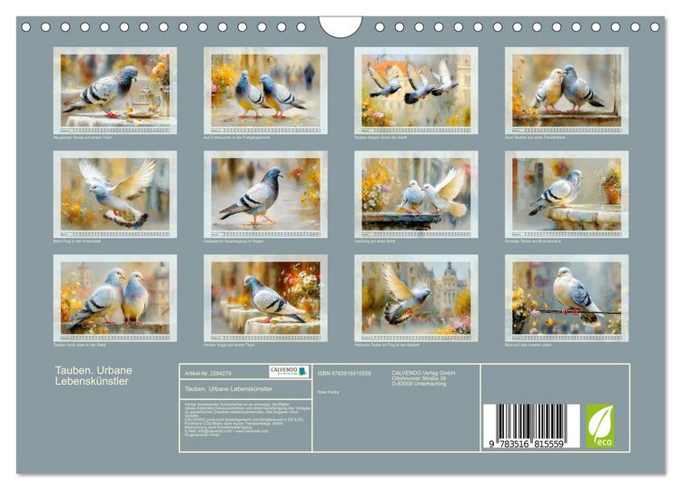 Produktbild: Tauben. Urbane Lebensk&uuml;nstler (Wandkalender 2027 DIN A4 quer), CALVENDO Monatskalender