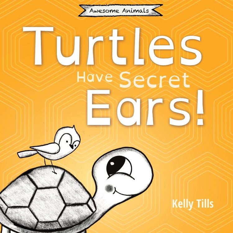 Produktbild: Turtles Have Secret Ears