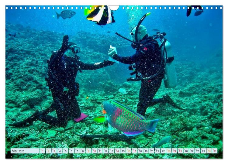 Produktbild: Tauchen - Abenteuer unter Wasser (Wandkalender 2026 DIN A3 quer), CALVENDO Monatskalender