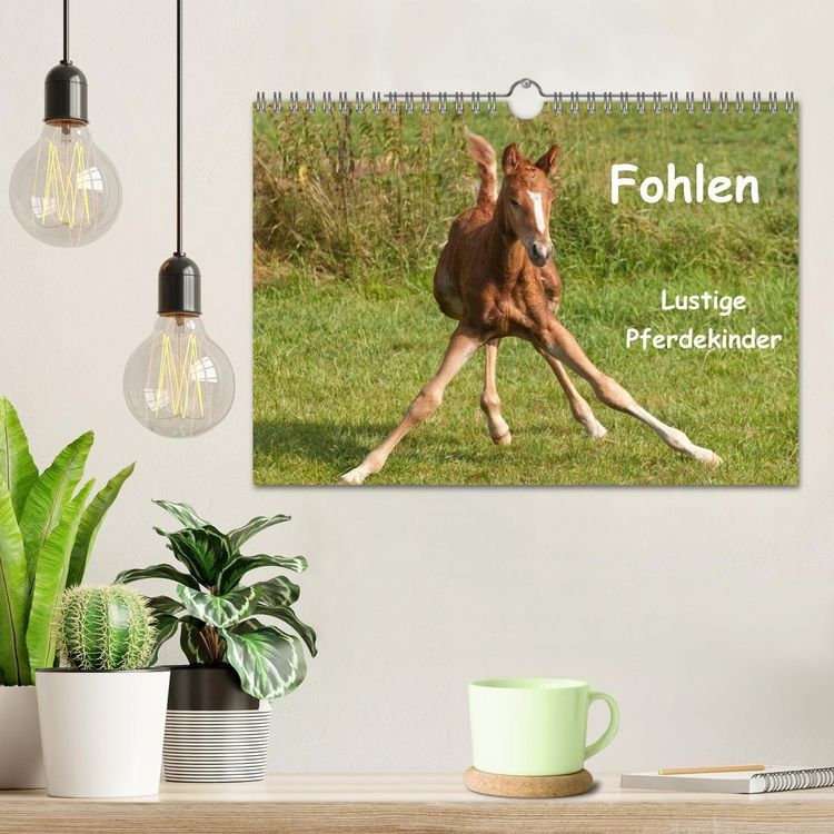 Produktbild: Fohlen - Lustige Pferdekinder (Wandkalender 2027 DIN A4 quer), CALVENDO Monatskalender