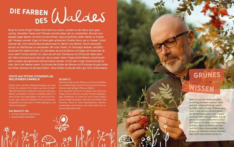 Produktbild: Peter Wohllebens Schule des Waldes