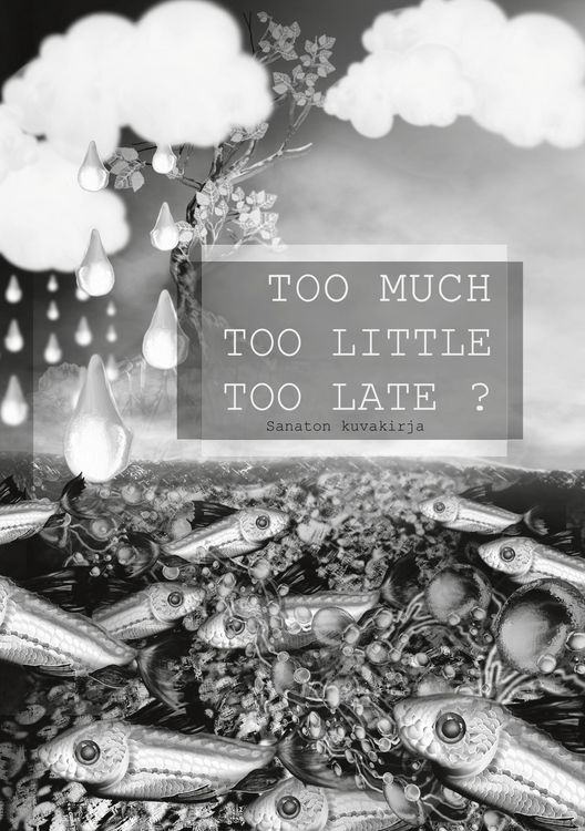 Produktbild: Too Much Too Little Too Late ?