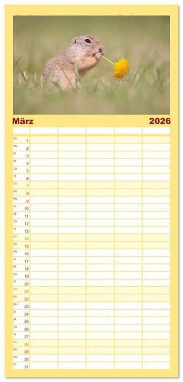 Produktbild: Familienplaner 2026 - Zauberhafte Ziesel mit 5 Spalten (Wandkalender, 21 x 45 cm) CALVENDO