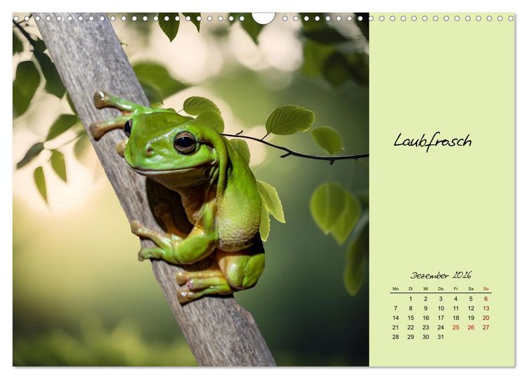 Produktbild: Heimische und exotische Amphibien (Wandkalender 2026 DIN A3 quer), CALVENDO Monatskalender