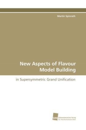 Produktbild: Spinrath, M: New Aspects of Flavour Model Building