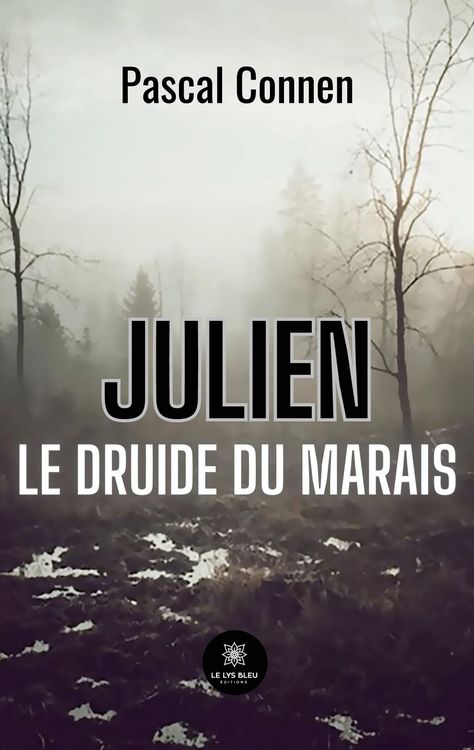 Produktbild: Pascal Connen: Julien Le druide du marais