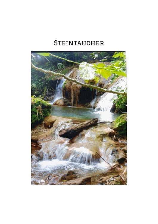 Produktbild: "STEINTAUCHER " Liebesdurstige Beobachtungen eines in die Jahre gekommenen Mannes. Gerade so,als h&auml;tte da jemand noch einmal seine Tr&auml;ume an das Firmament gehangen.
