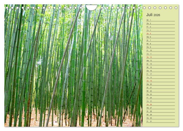 Produktbild: BAMBUS (Wandkalender 2026 DIN A4 quer), CALVENDO Monatskalender