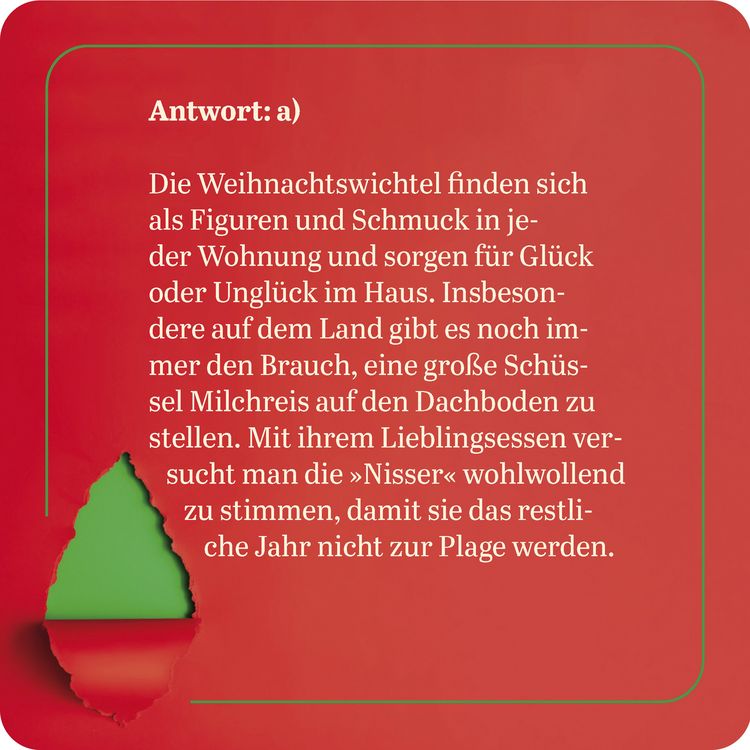Produktbild: Das Weihnachts-Quiz