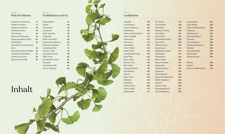 Produktbild: B&auml;ume - Eine Natur- und Kulturgeschichte