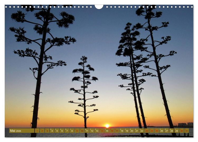Produktbild: In den Subtropen (Wandkalender 2026 DIN A3 quer), CALVENDO Monatskalender