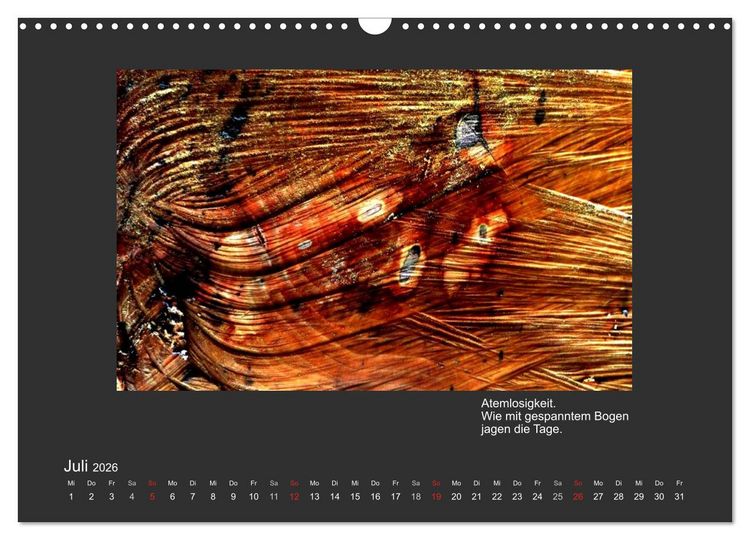 Produktbild: MAGIE HOLZ 2026 (Wandkalender 2026 DIN A3 quer), CALVENDO Monatskalender