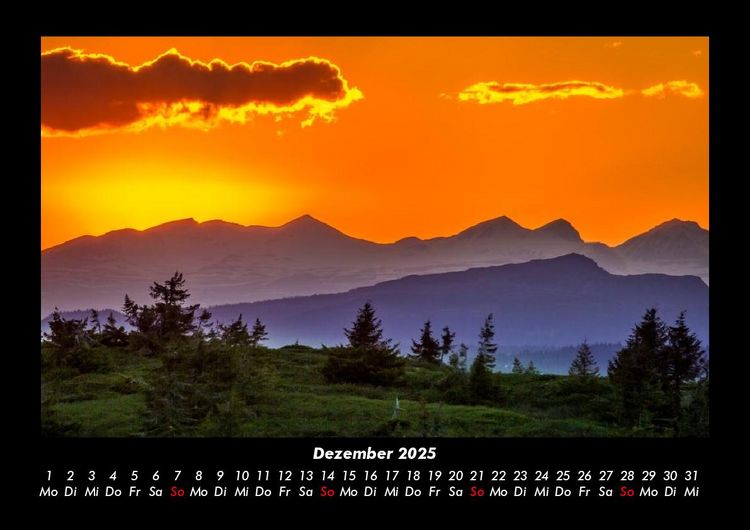 Produktbild: B&auml;ume 2025 Fotokalender DIN A3