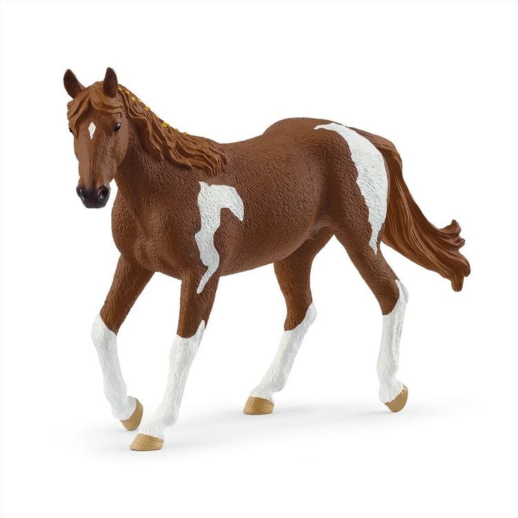 Produktbild: Paint Horse Stute