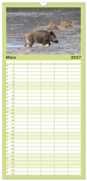 Produktbild: Familienplaner 2027 - Wildschweine &ndash; Wildlife Fotografien mit 5 Spalten (Wandkalender, 21 x 45 cm) CALVENDO