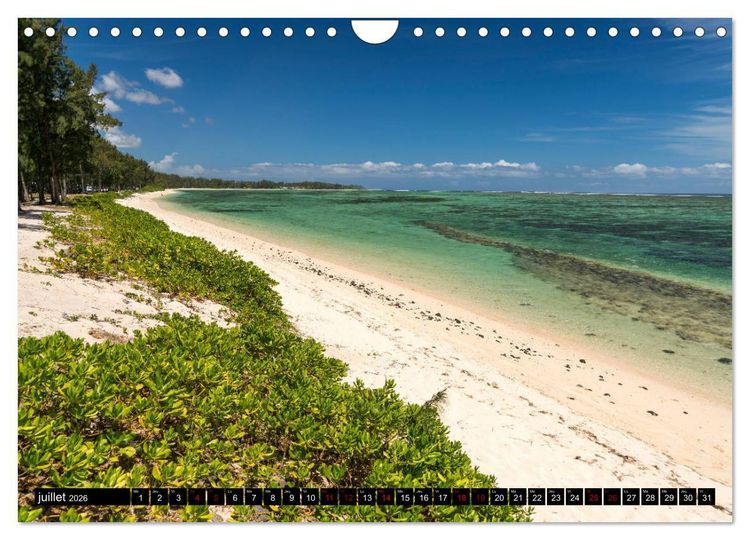 Produktbild: Maurice - l'Oc&eacute;an Indien (Calendrier mural 2026 DIN A4 vertical), CALVENDO calendrier mensuel