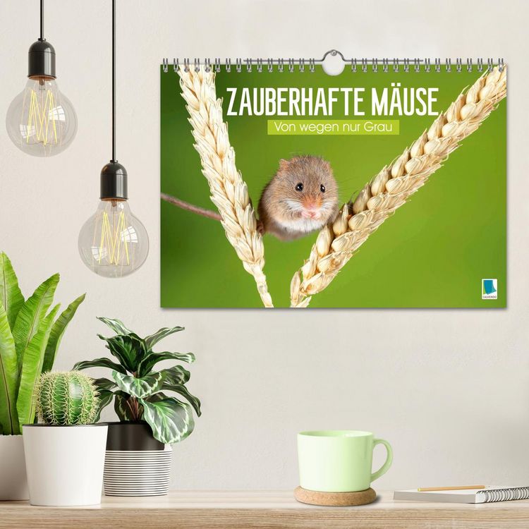 Produktbild: Zauberhafte M&auml;use: Von wegen nur Grau (Wandkalender 2026 DIN A4 quer), CALVENDO Monatskalender