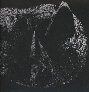 Produktbild: Viscera (hardcover digisleeve)