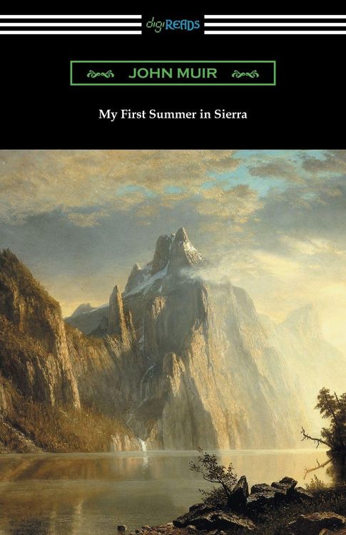 Produktbild: My First Summer in Sierra