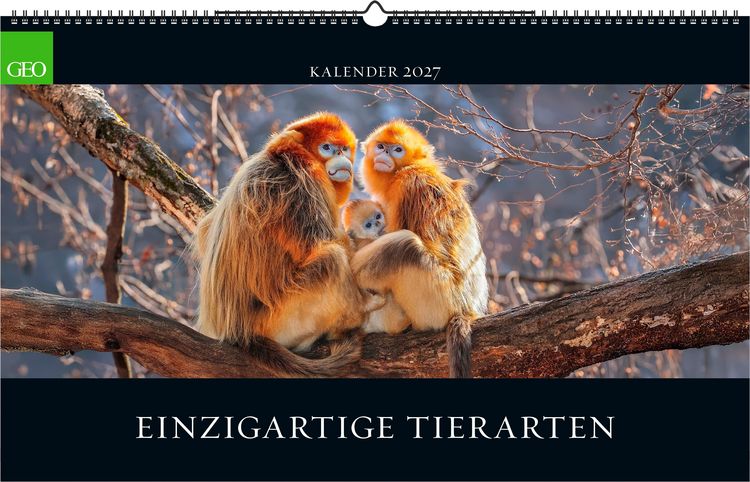 Produktbild: GEO Einzigartige Tierarten 2027