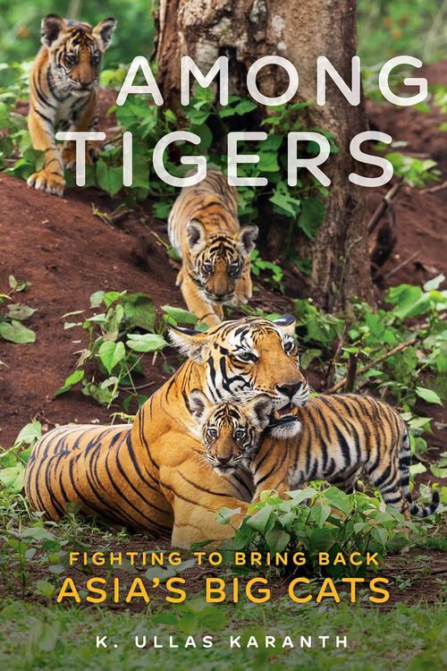 Produktbild: Among Tigers