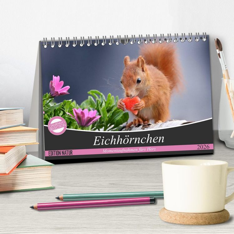 Produktbild: Eichh&ouml;rnchen Momentaufnahmen f&uuml;rs Herz (Tischkalender 2026 DIN A5 quer), CALVENDO Monatskalender