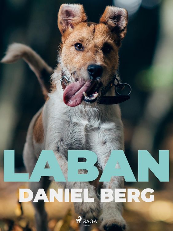 Produktbild: Laban