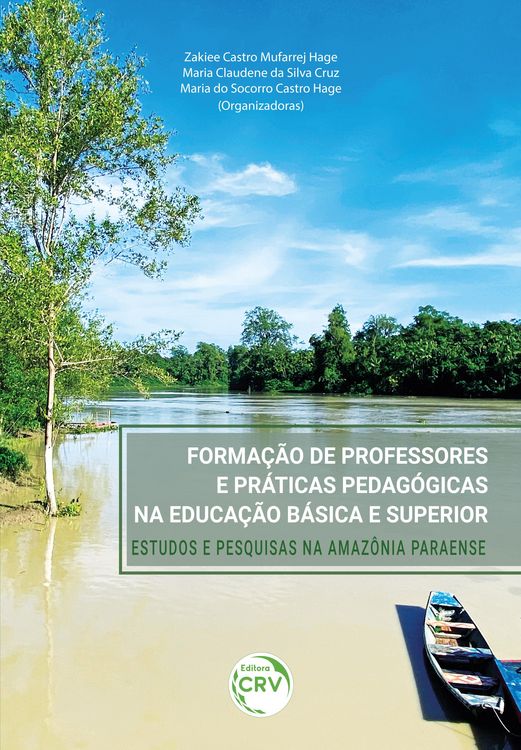 Produktbild: Forma&ccedil;&atilde;o de professores e pr&aacute;ticas pedag&oacute;gicas na educa&ccedil;&atilde;o b&aacute;sica e superior