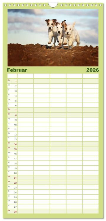 Produktbild: Familienplaner 2026 - Die Parson-Russell-Terrier ...mit neuen Abenteuern aus der Hundeknipserei mit 5 Spalten (Wandkalender, 21 x 45 cm) CALVENDO